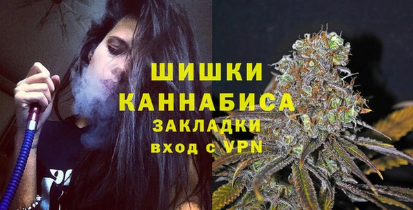шишки Михайлов