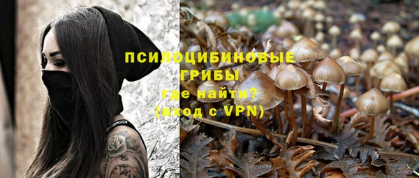 шишки Михайлов