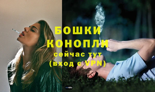 шишки Михайлов