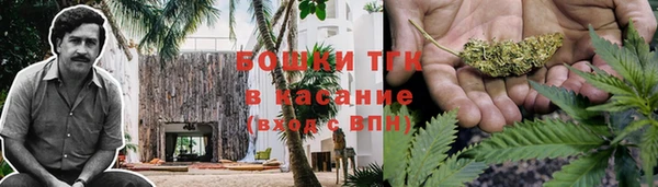 гашик Тавда