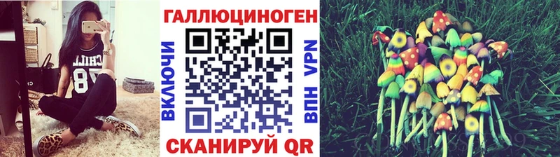 даркнет сайт  Хилок  Псилоцибиновые грибы мухоморы 